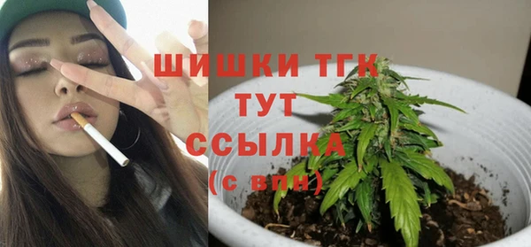 тгк Арсеньев