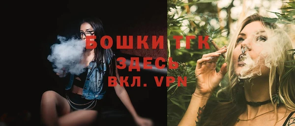 тгк Арсеньев