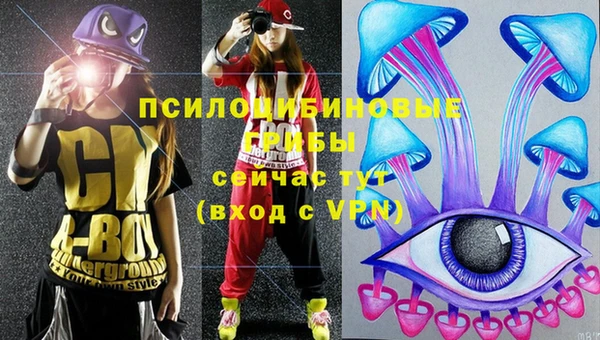 тгк Арсеньев