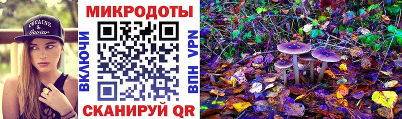 Псилоцибиновые грибы мицелий  блэк спрут зеркало  Тырныауз 